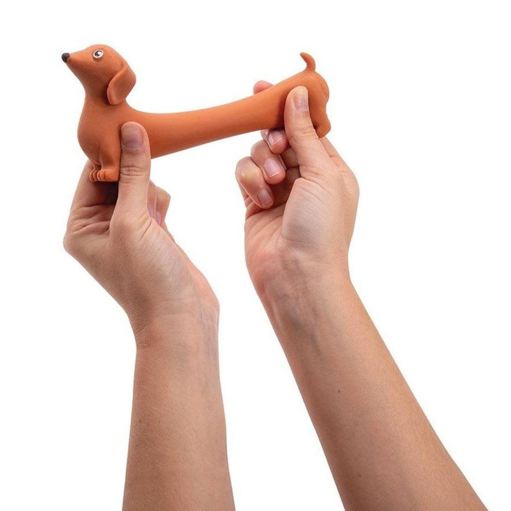 Stretchy Sausage Dog