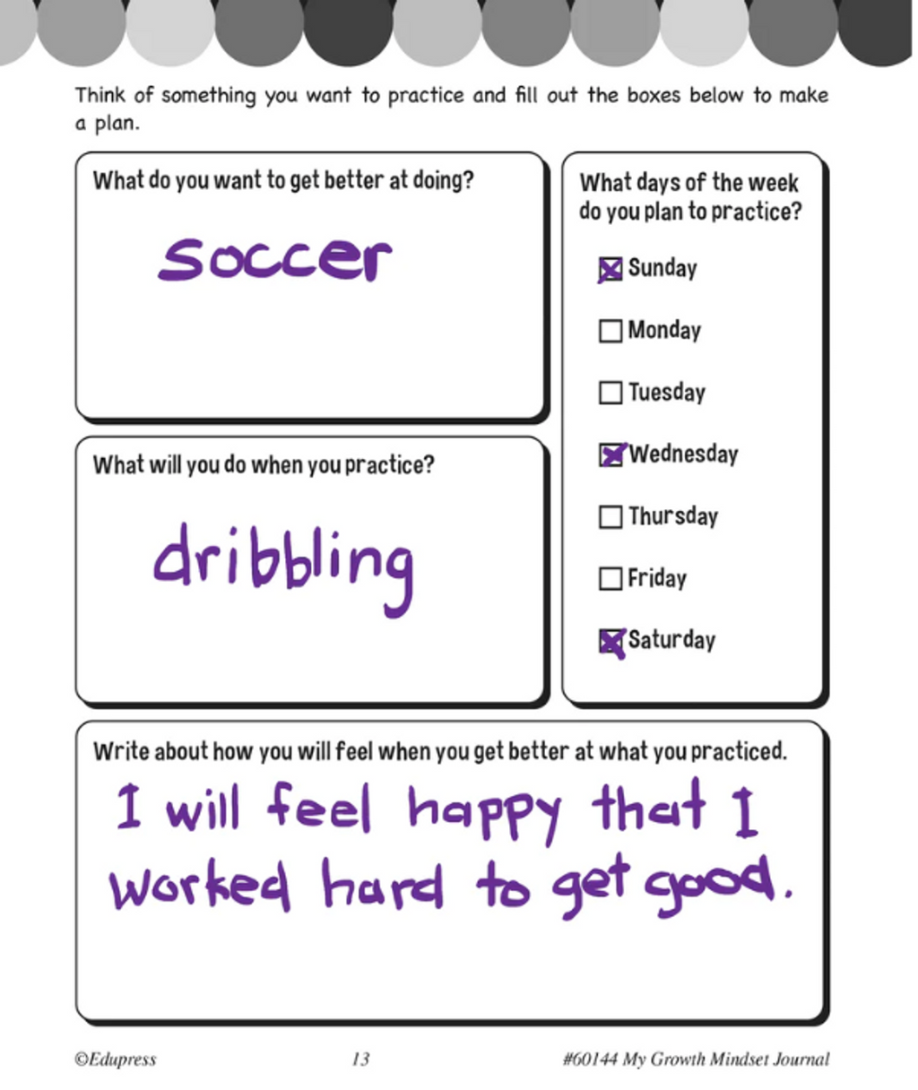 My Own Growth Mindset Journal