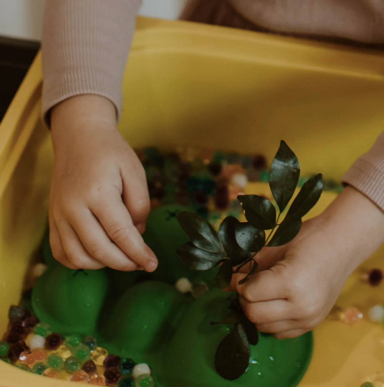 Sensory Scene Setters