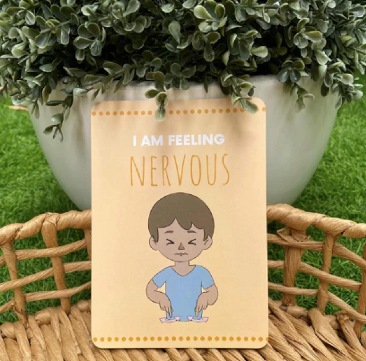 My Zones of Feelings Flash Cards