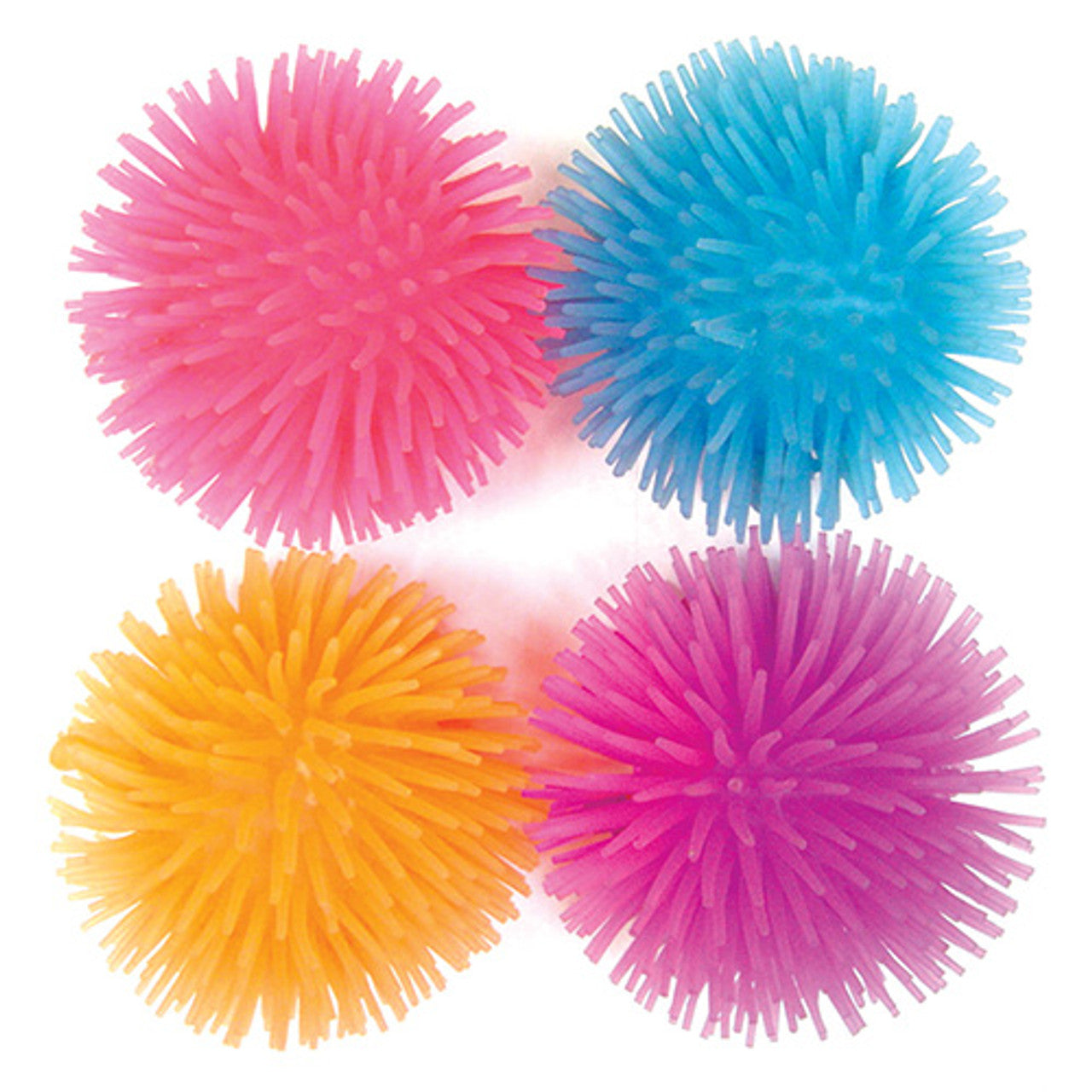 Sea Anemone