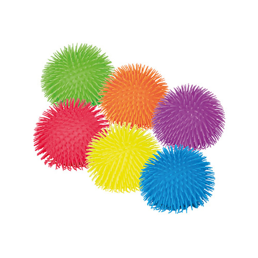 Sea Anemone