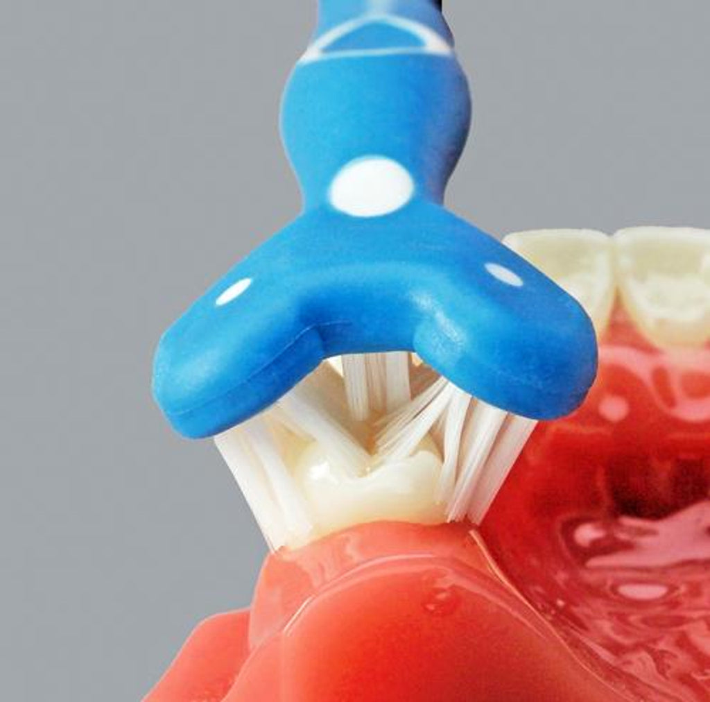 Surround Toothbrushes