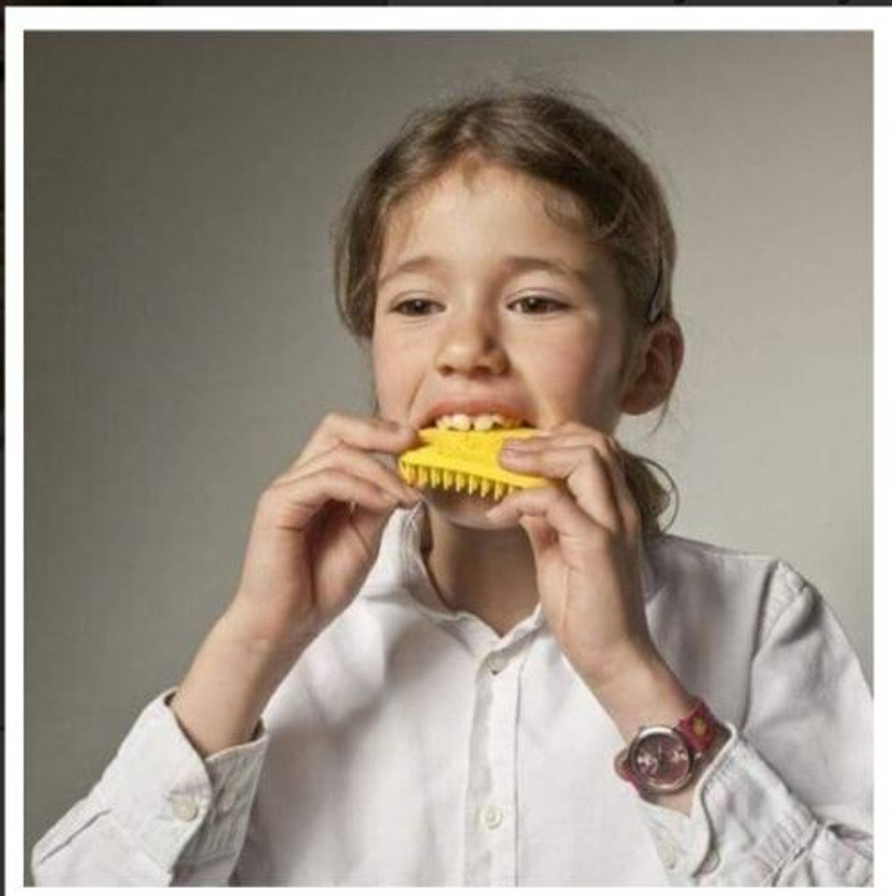 Tactile Tiger Sensory Brush