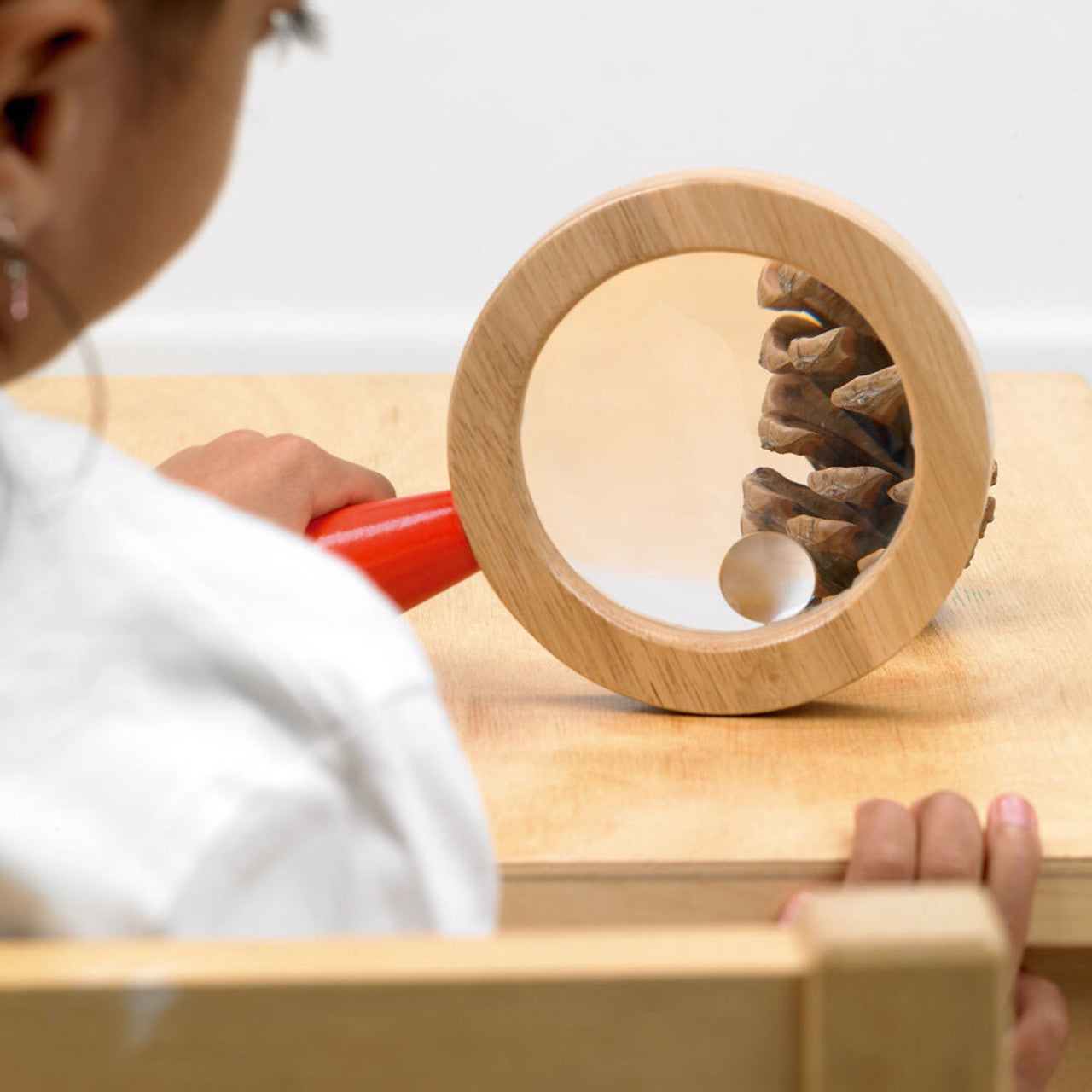 Tickit Wooden Hand Lens