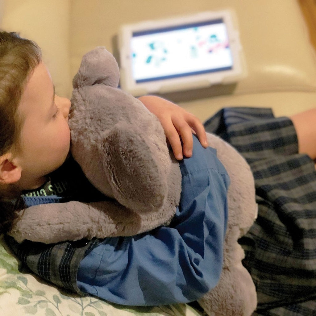 Weighted Calming Koala