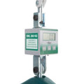 Lifting Hoist Accessories, Ansa, Weigh Scale (SWL 300Kg)