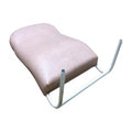 Backrest, 600mm (23.5in.), Champagne, Ansa, to suit Euro Day Chair