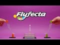 Fat Brain Toys Flyfecta