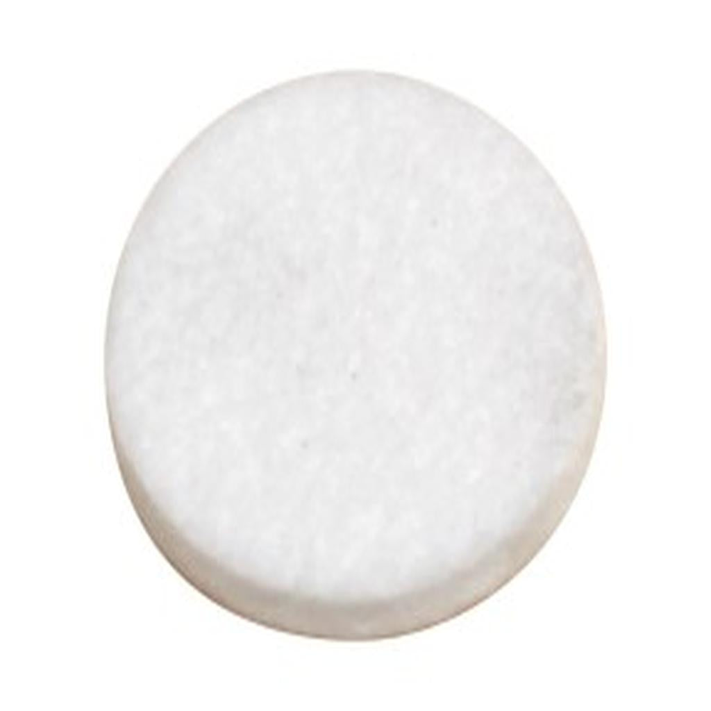 Pump Filter, 31mm dia. x 5mm, Care of Sweden, to suit Cirrus & SAM Pump