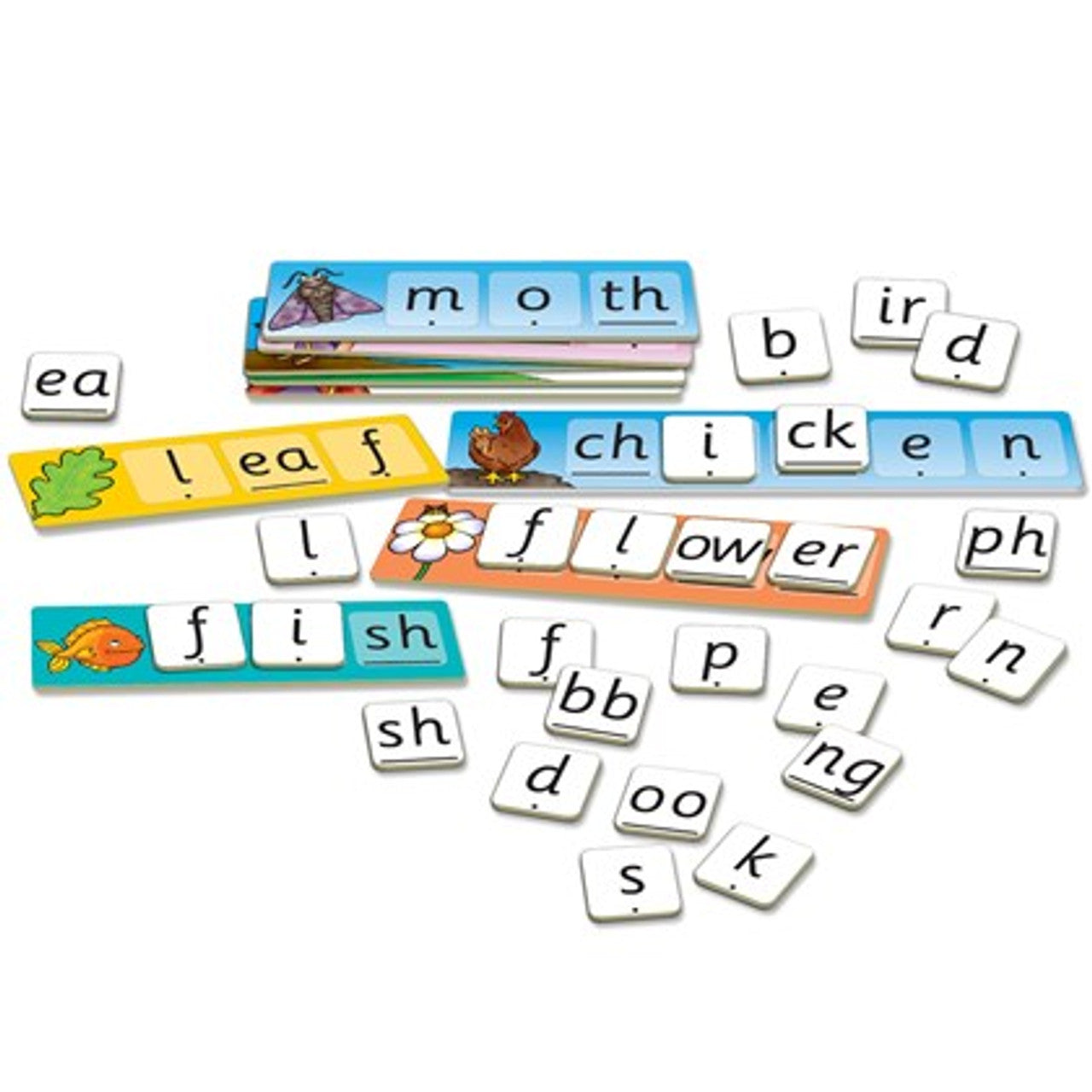 Match and Spell Next Steps
